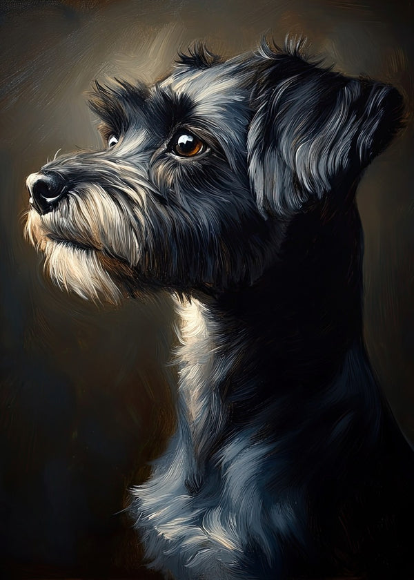 Miniature-schnauzer