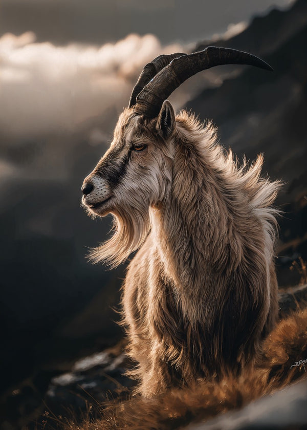 Mountain Sentinel at Dawn