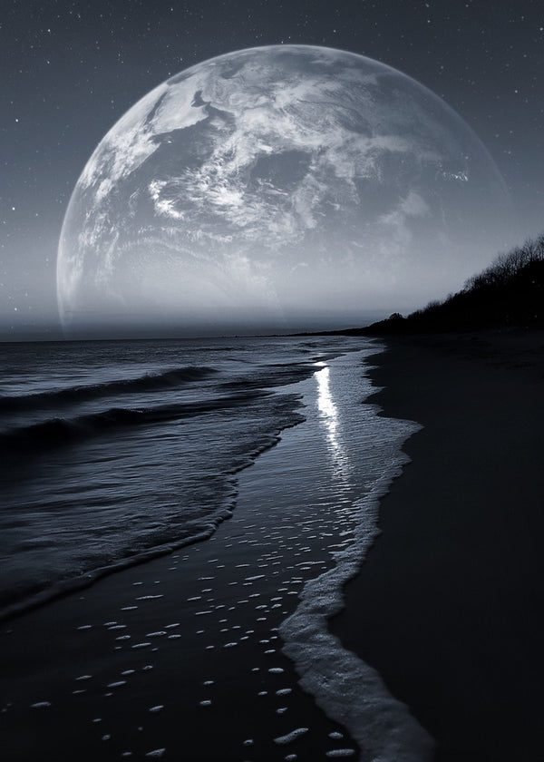 Moonlit Shores