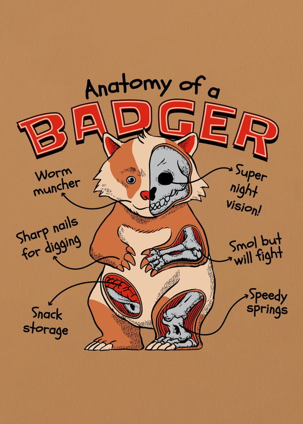 Badger Anatomy Funny Science