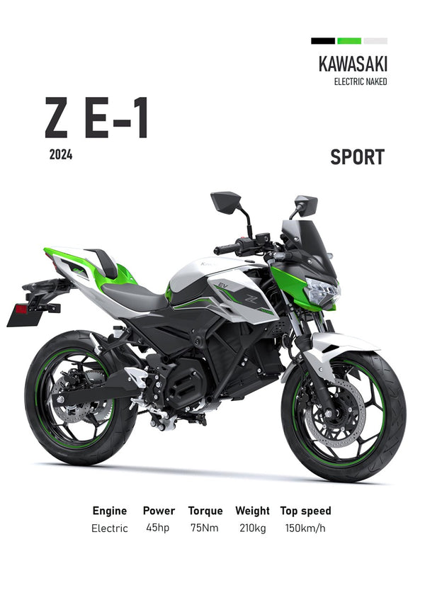 Kawasaki Z E-1 Sport