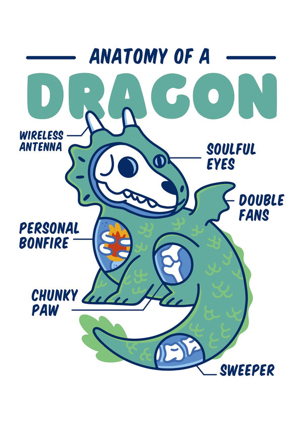 Dragon Anstomy
