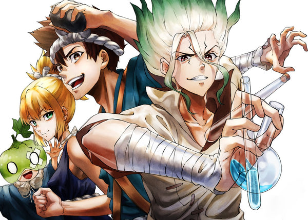 Dr. Stone