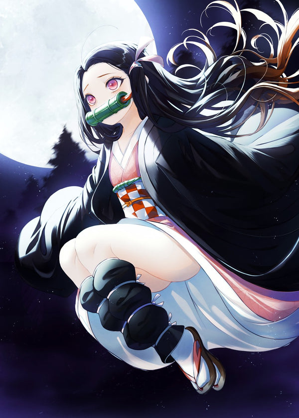 Demon Slayer Kimetsu no Yaiba