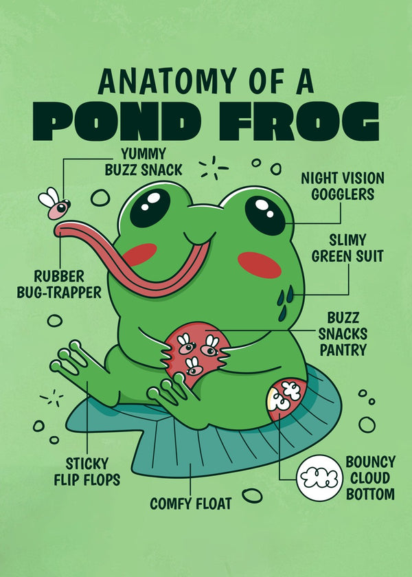 Cute Frog Anatomy