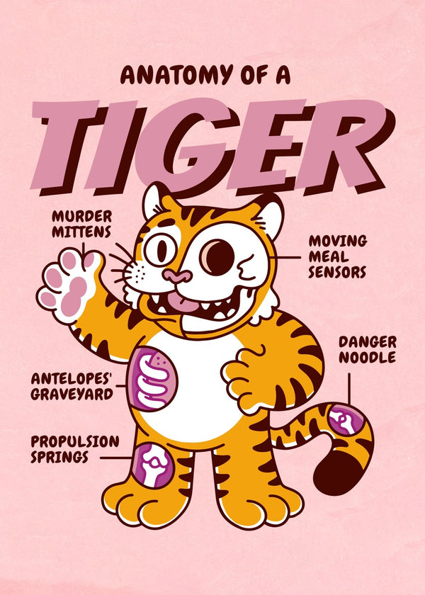 Cute Tiger Anatomy
