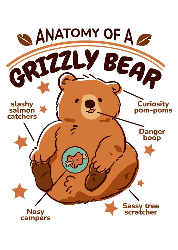 Grizzly Bear Cute Anatomy