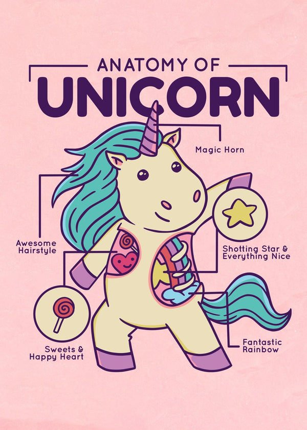 Cute Unicorn Anatomy