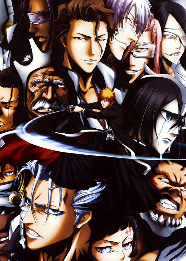 Bleach Soul Reaper Saga