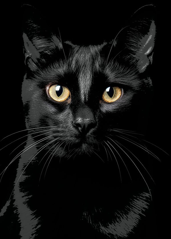 Black cat