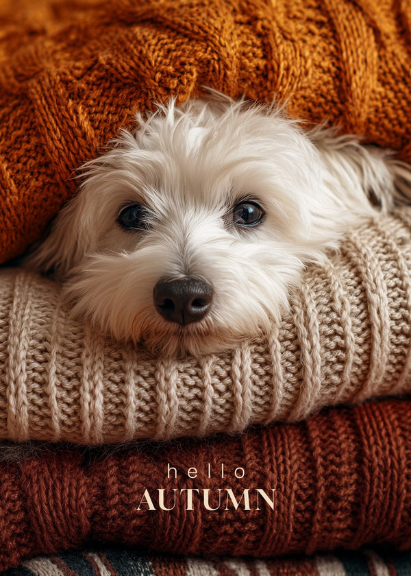 Certified Autumn Snuggle