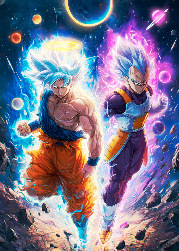 Goku and Vegeta, Dragon ball