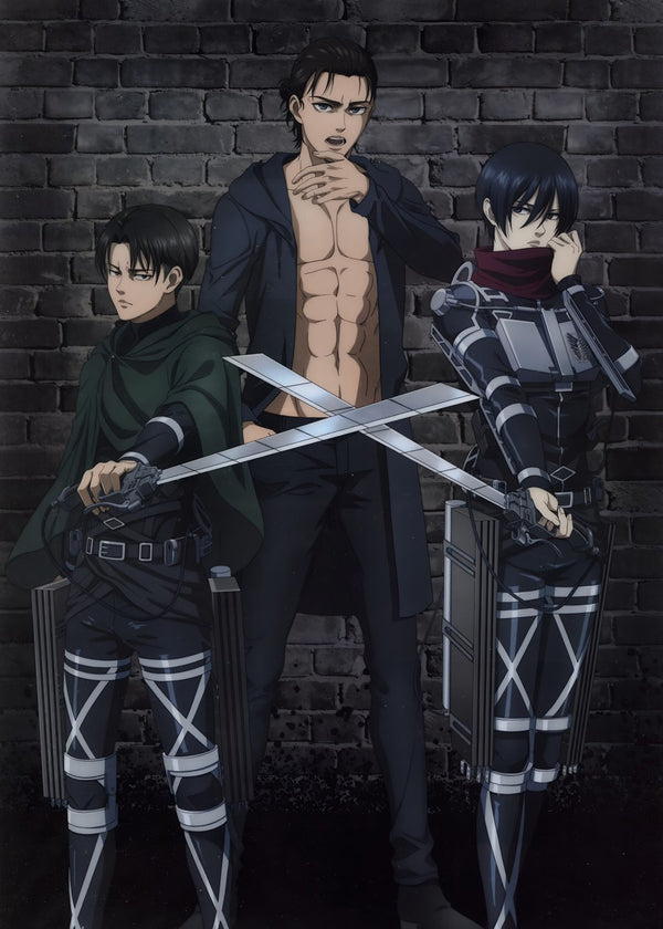 Shingeki no Kyojin AOT