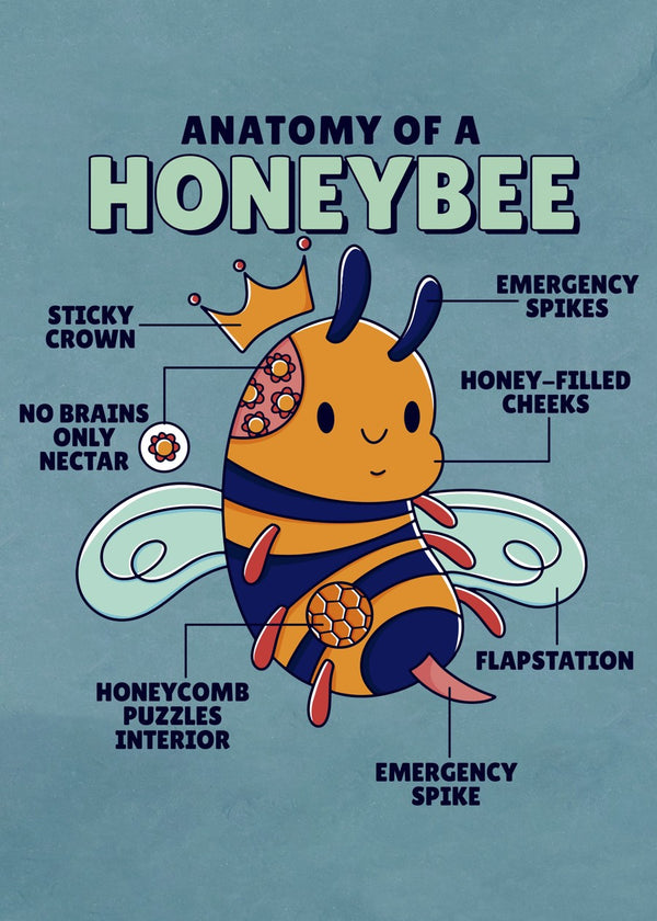 Cute Honeybee Anatomy