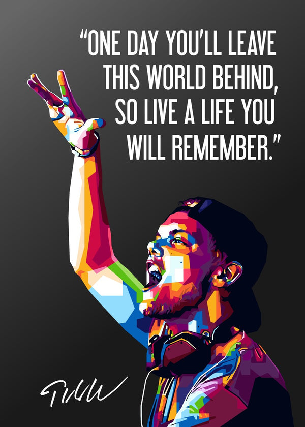 Avicii Quotes