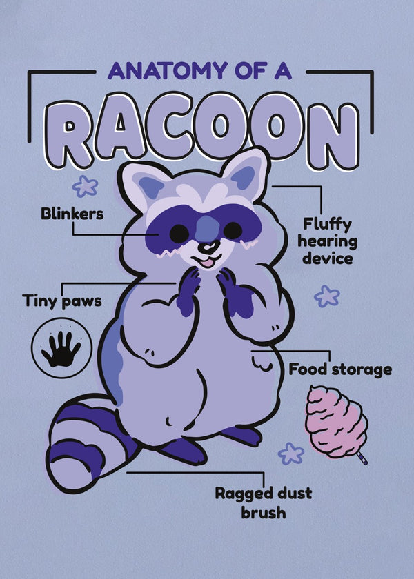 Cute Raccoon Anatomy