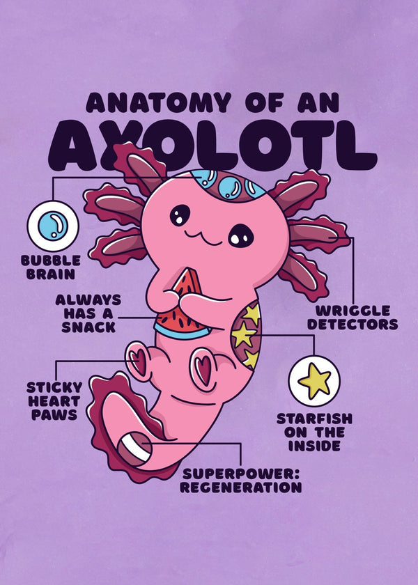 Axolotl Anatomy & Superpowers