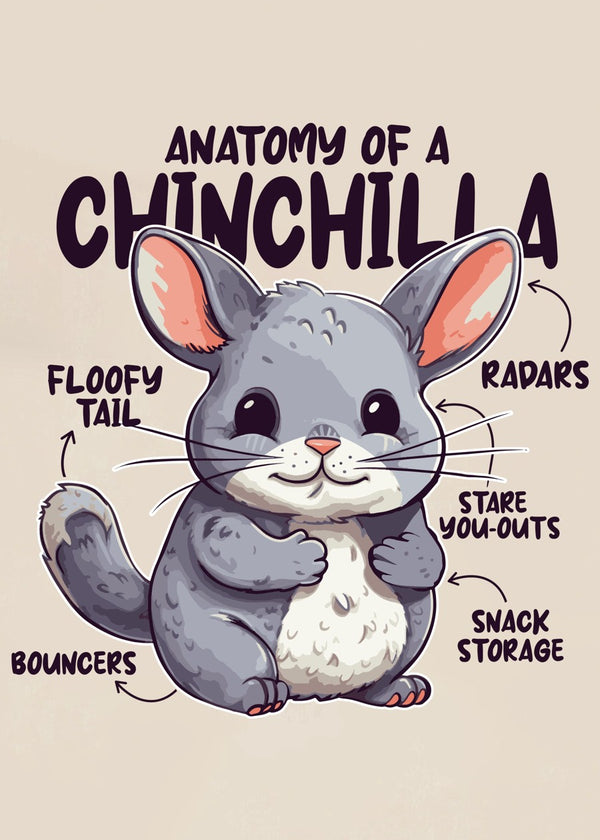 Chinchilla Anatomy