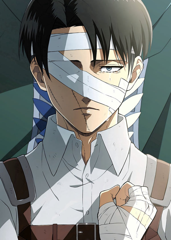 Levi Ackerman, Attack on titan