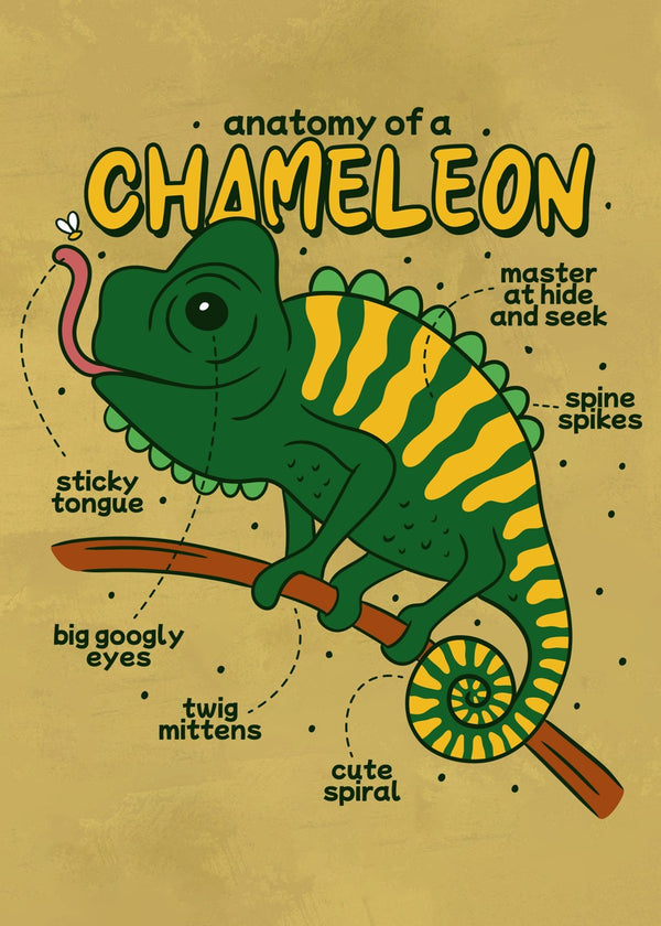Chameleon Anatomy Cute Lizard