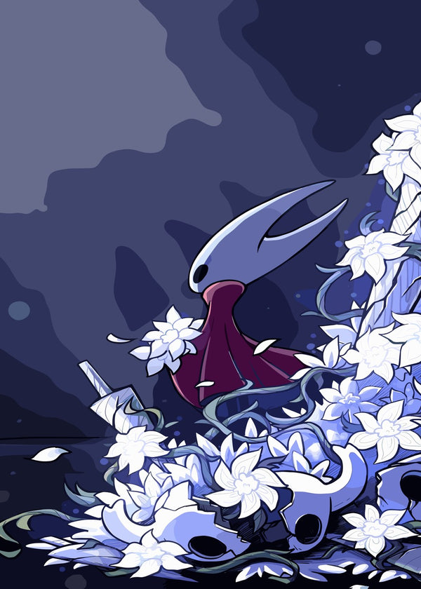 hollow knight