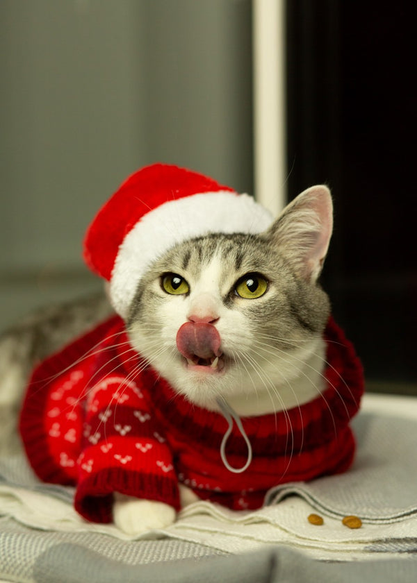 Holiday Hunger Pangs