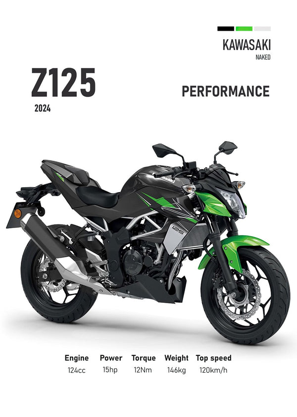 Kawasaki Z125 Perfomance