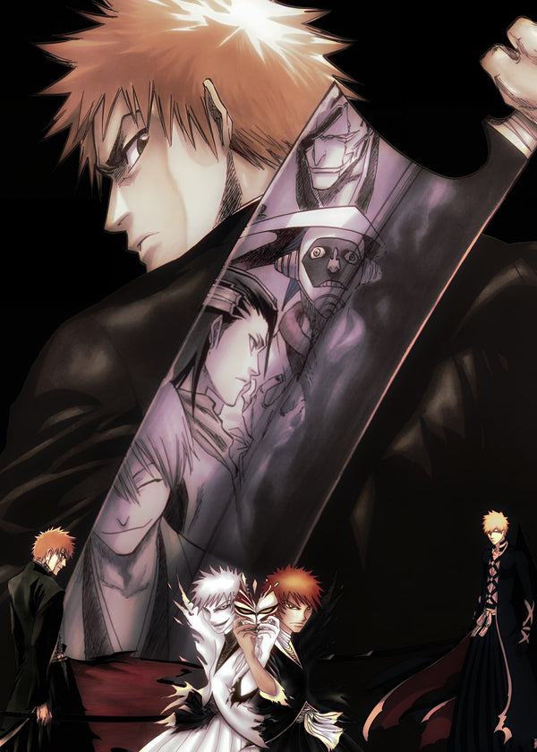 Bleach Soul Reaper Saga