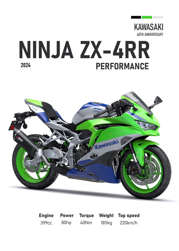 Kawasaki Ninja ZX4RR Perfomanc
