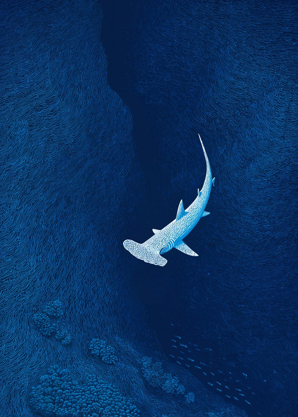 Hammerhead in Blue Abyss