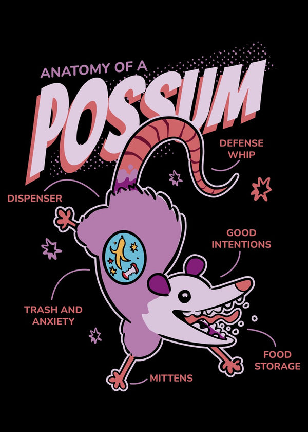 Possum Trash Anatomy