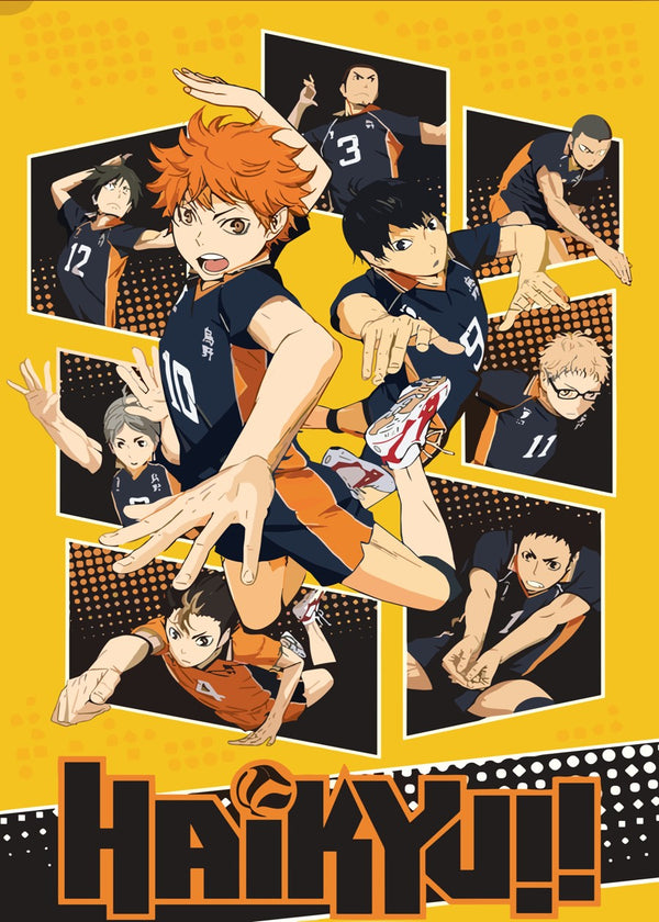 Haikyuu!! Karasuno High Take