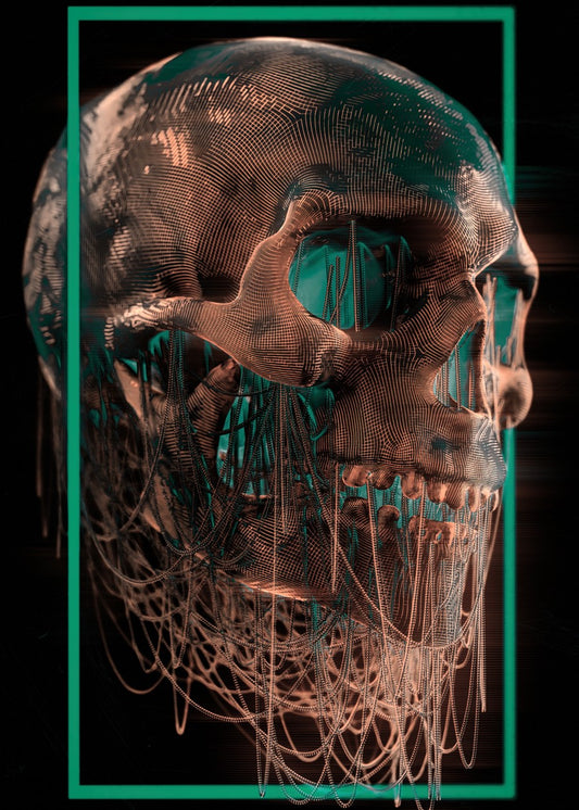 Neural Skull