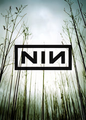 nin