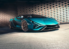 Lamborghini sian roasted