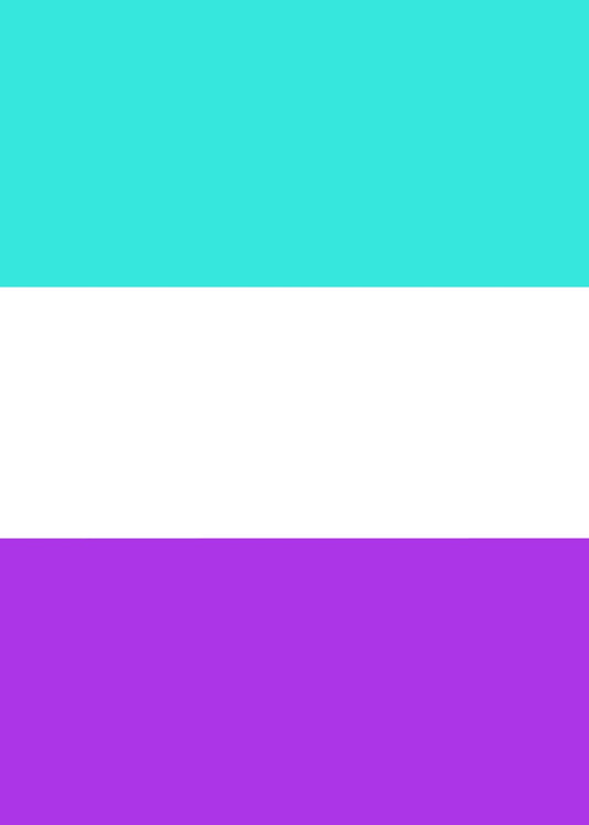 Aromantic Pride Flag