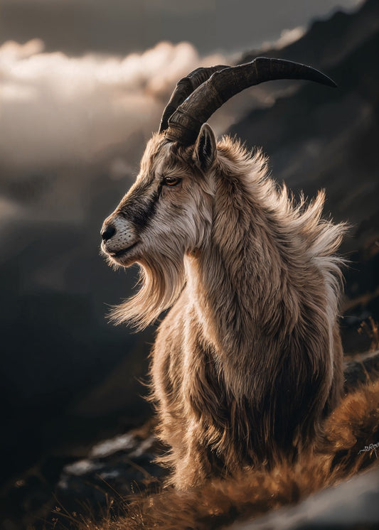 Mountain Sentinel at Dawn