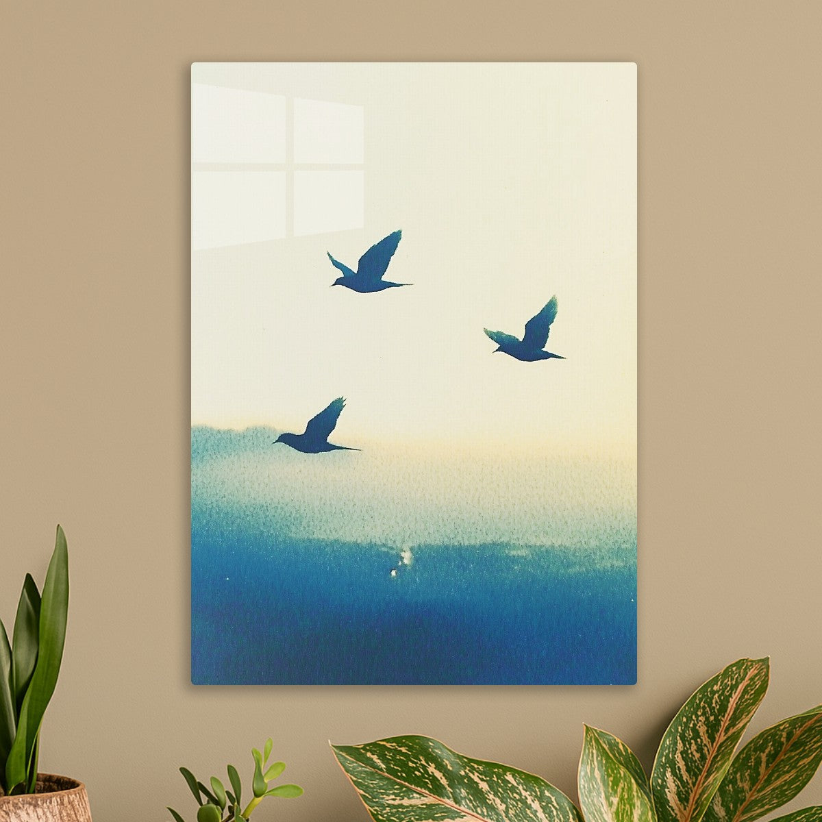 Soaring Birds