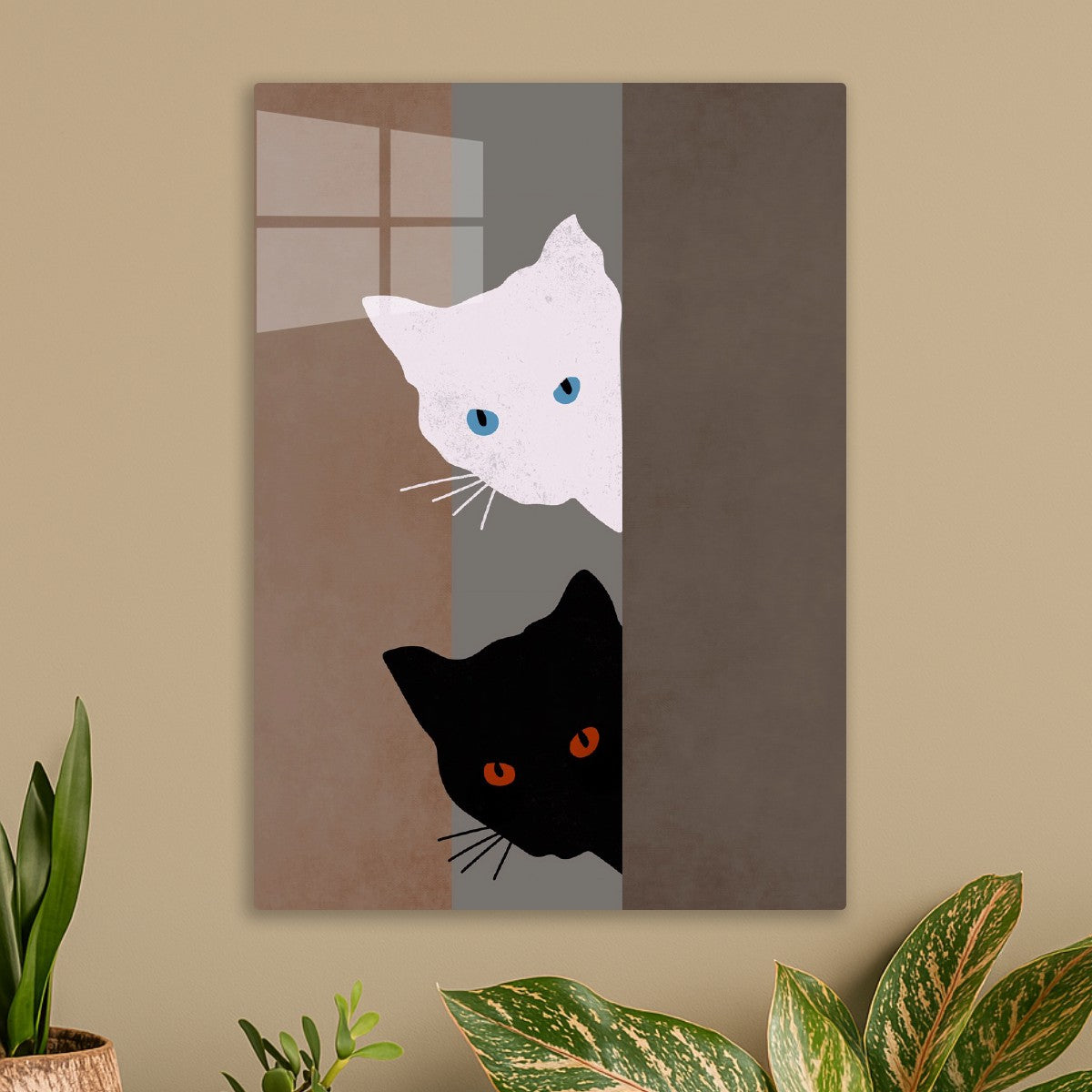 Black and White Cats