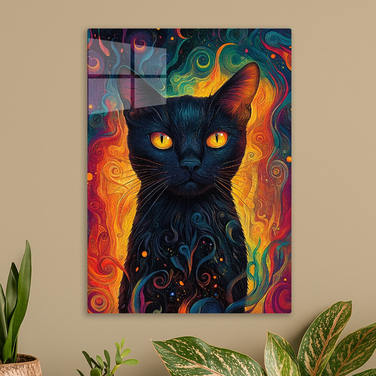 Mysterious black cat