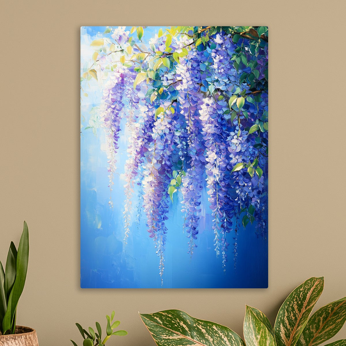 Blooming Wisteria