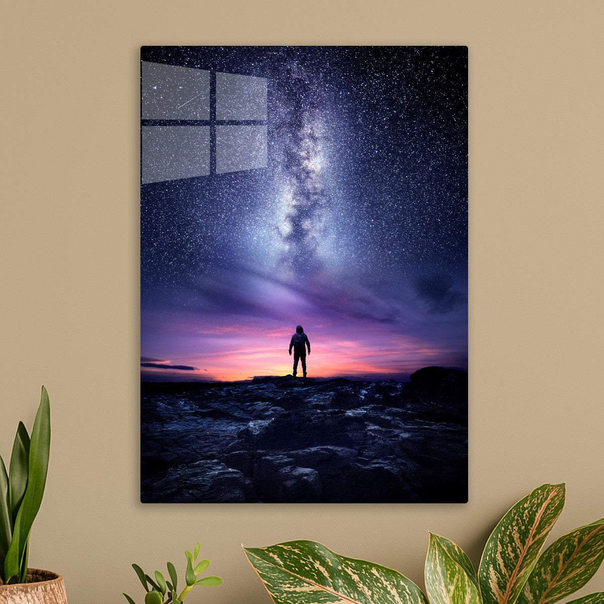 Stargazer's Dream
