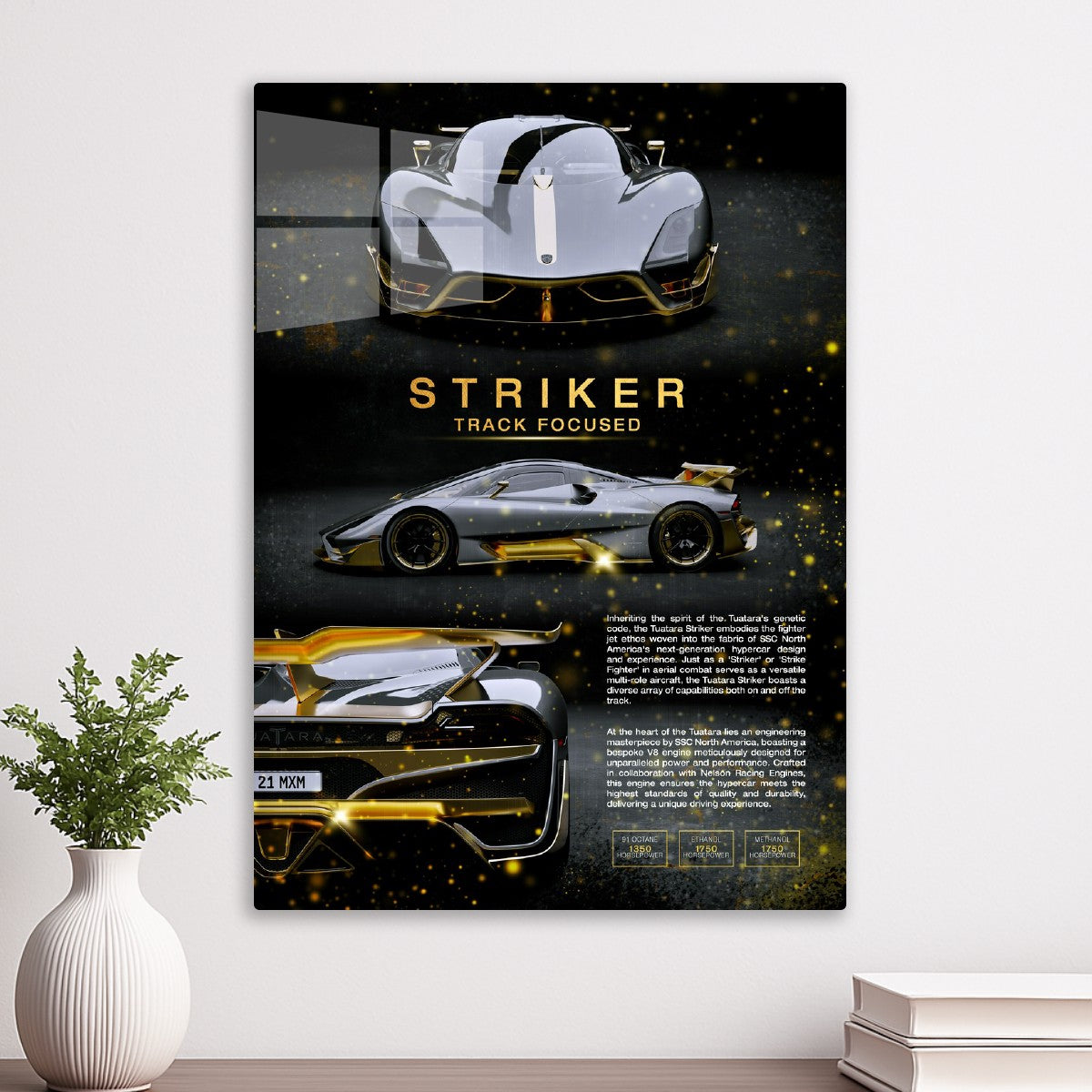 SSC Tuatara Striker