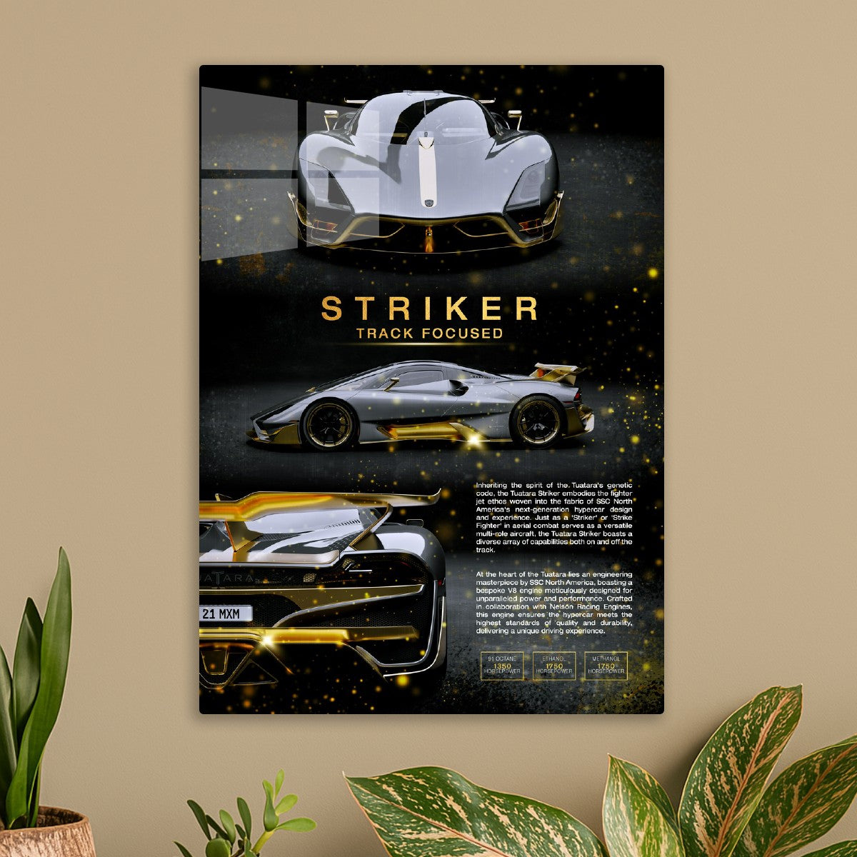 SSC Tuatara Striker