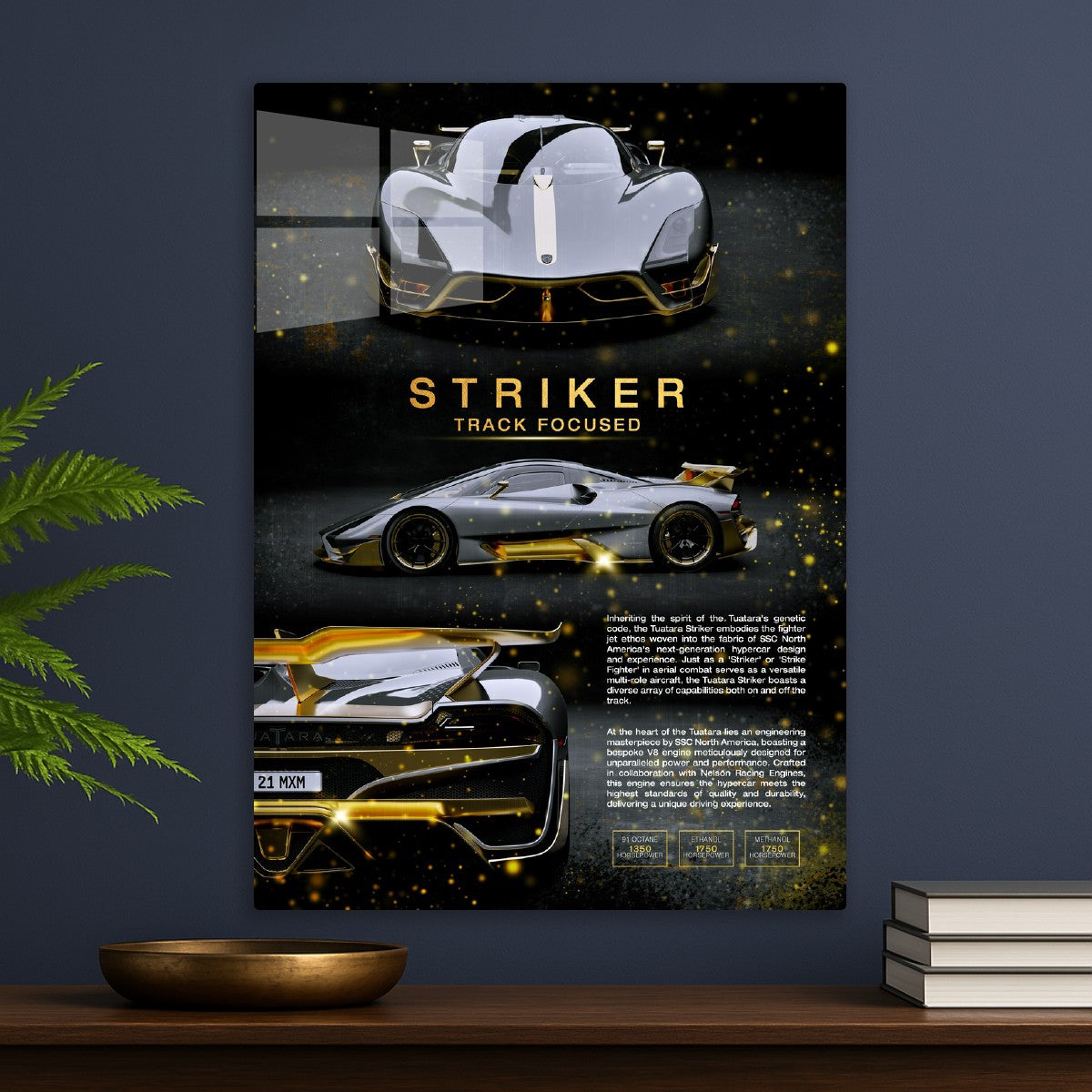 SSC Tuatara Striker