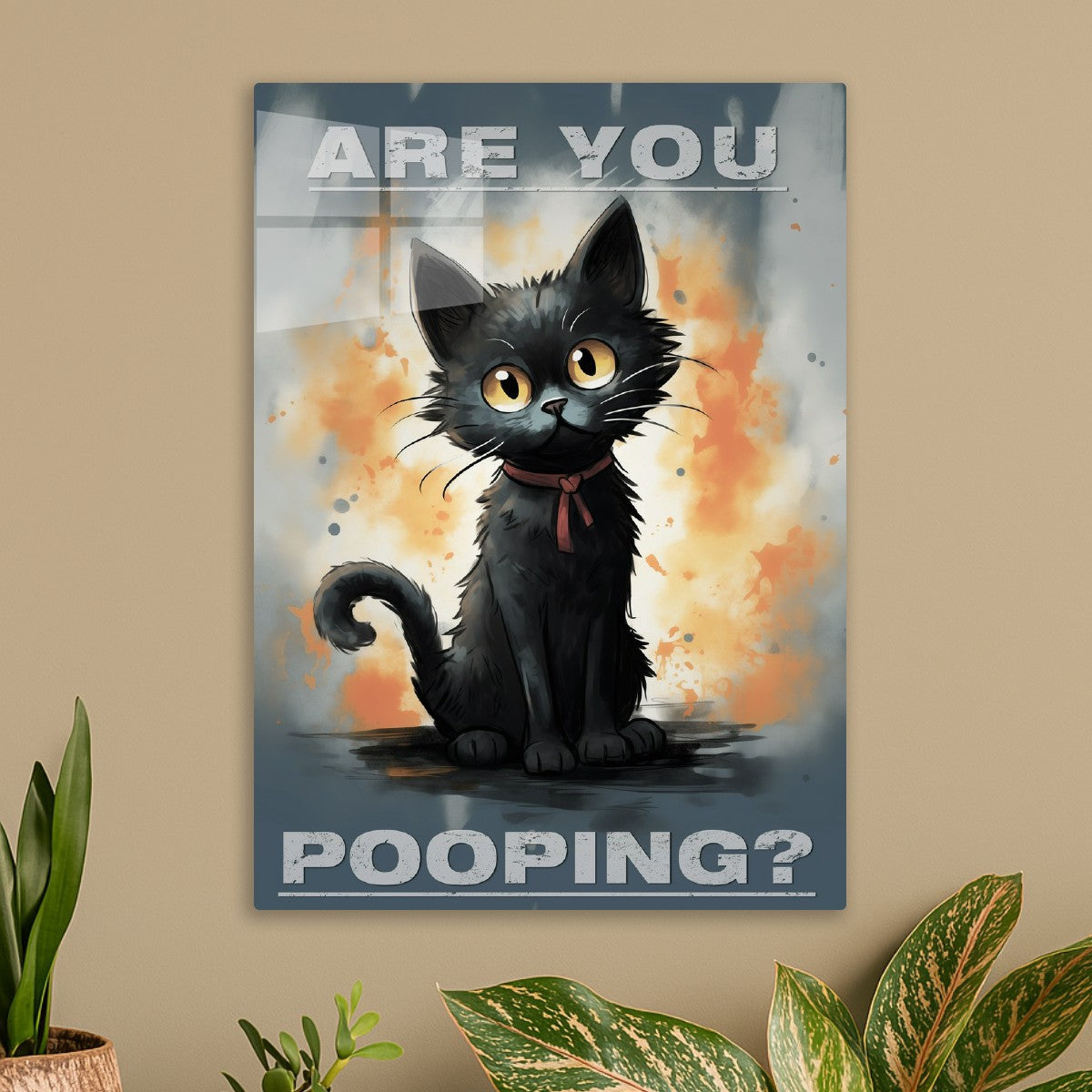 black cat - are you?