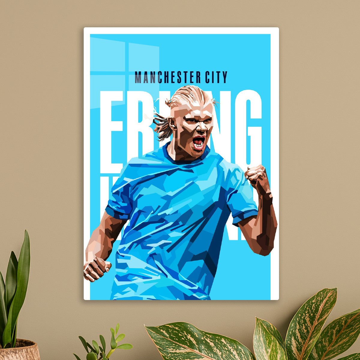 Erling Haaland vector art