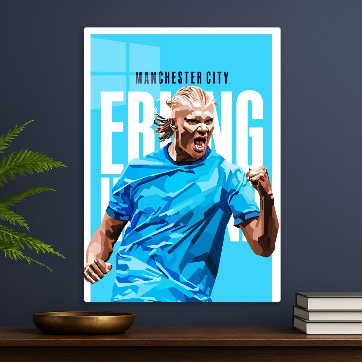 Erling Haaland vector art