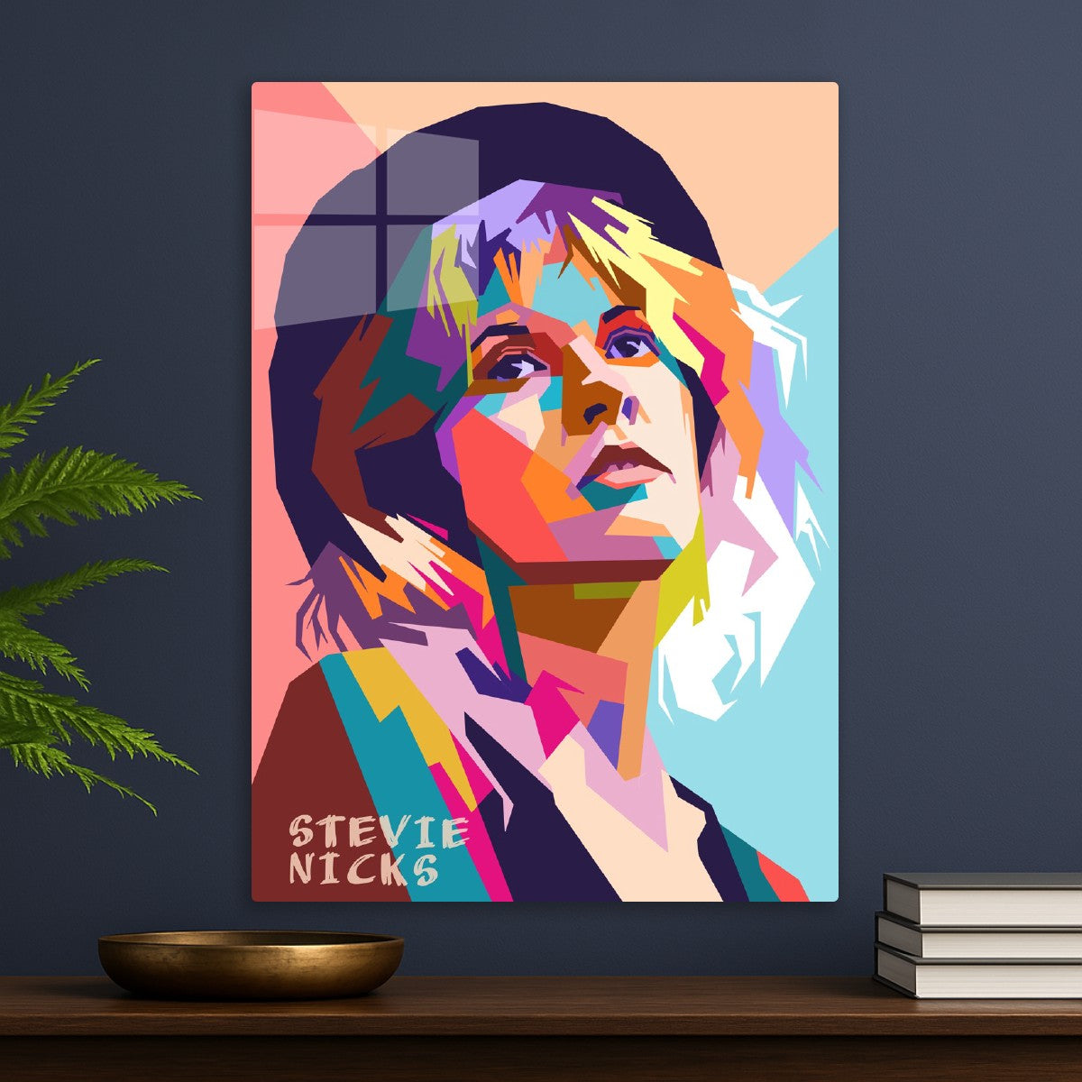 Stevie Nicks