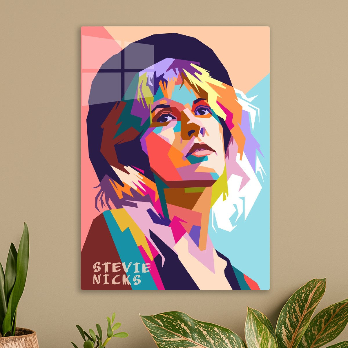 Stevie Nicks